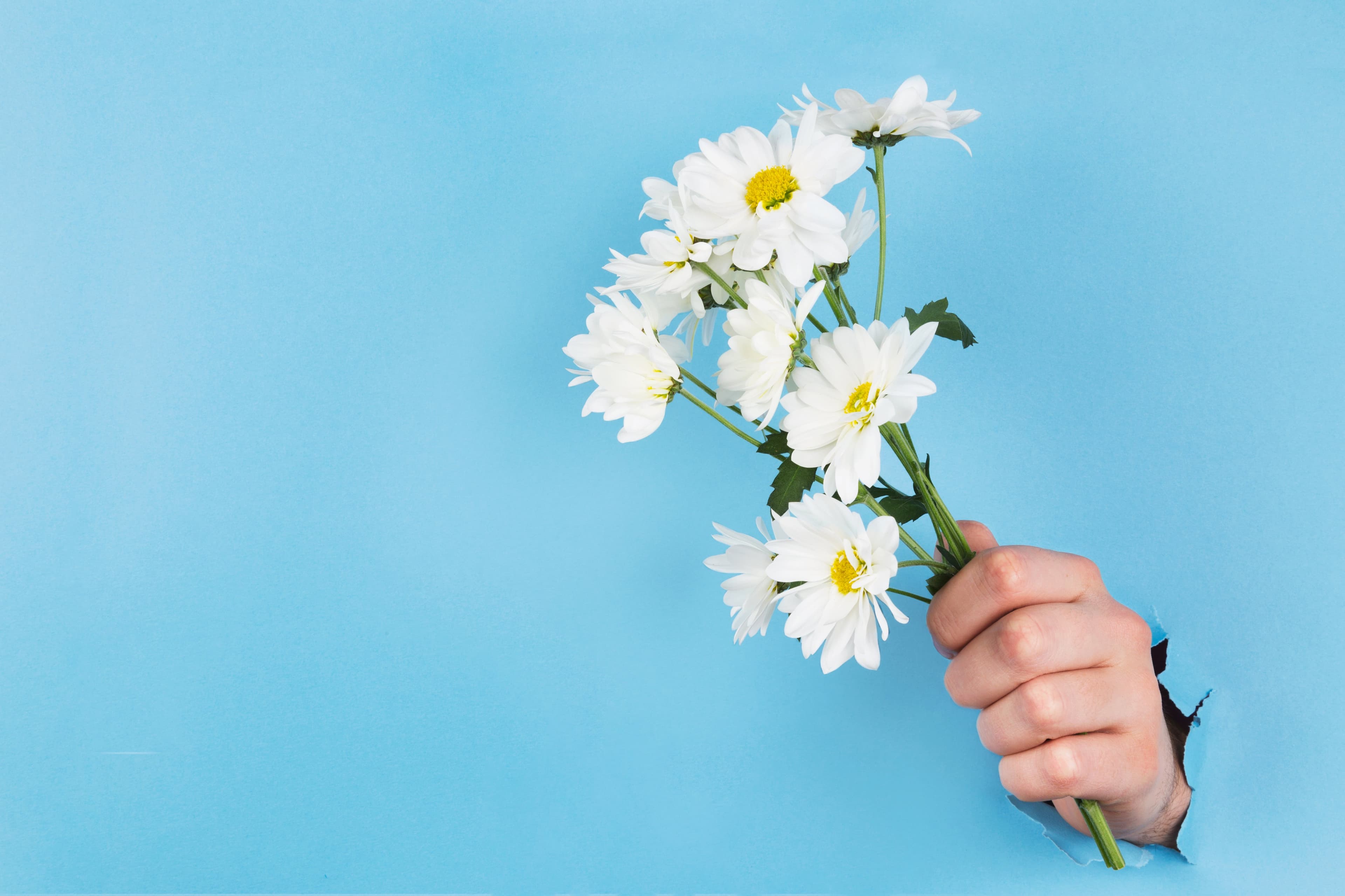 A hand reaching through torn paper to offer a bunch of daisies